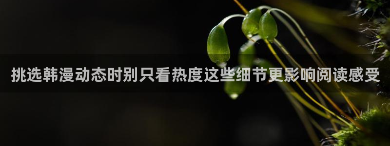 漫蛙漫画热度榜